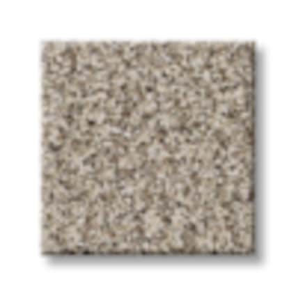 Shaw Smithtown Bay Blend Texture Carpet with Pet Perfect Plus-Sample